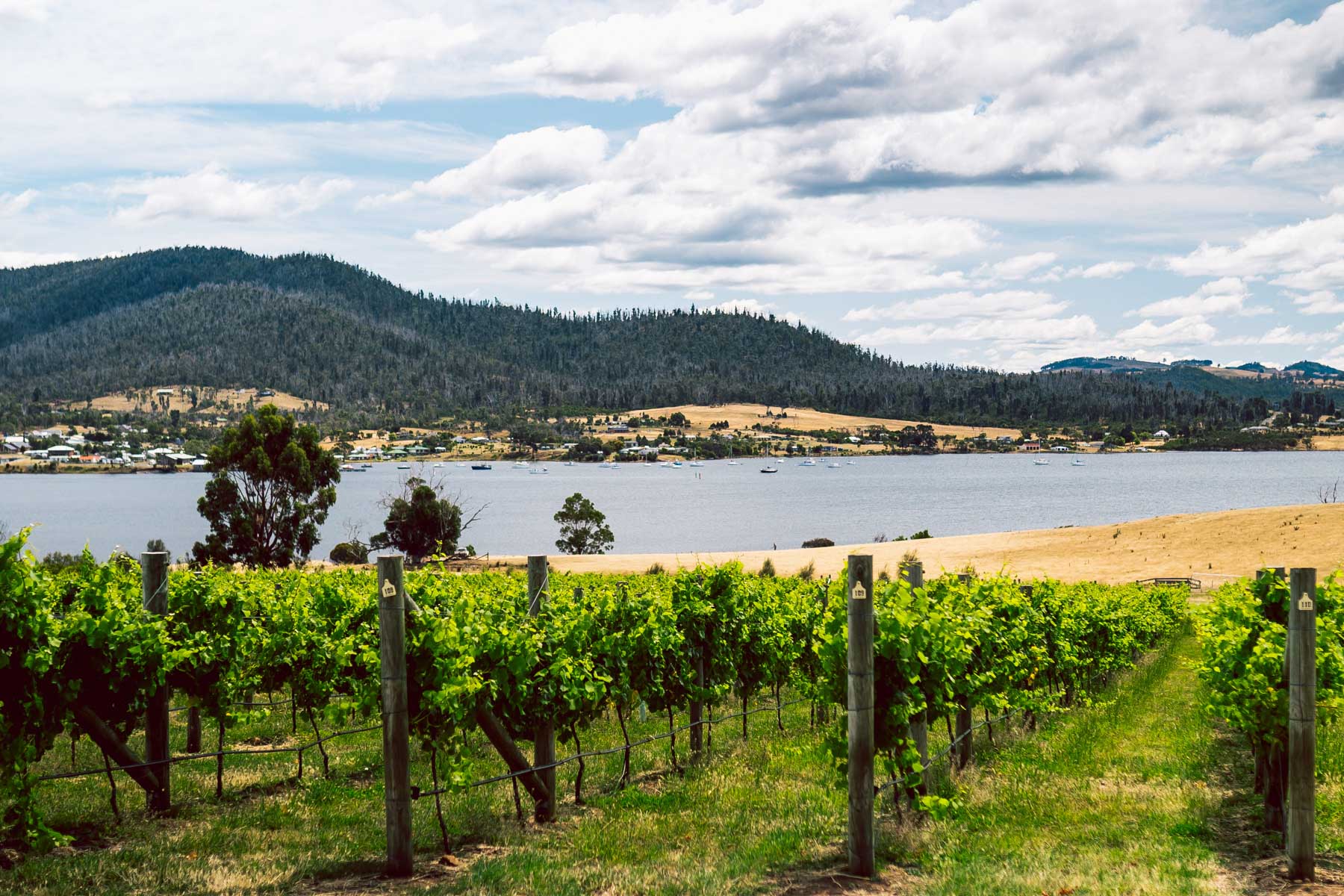 winery tours hobart tasmania